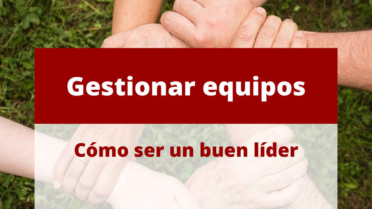 Cómo ser un buen líder en gestión de equipos. - Liberal y Arjona