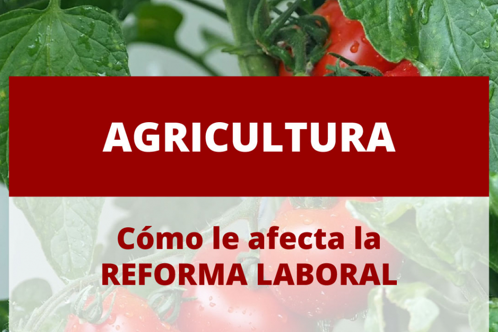 Cómo afecta la reforma laboral a la Agricultura